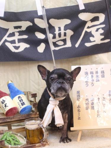 20240629さつきちゃん